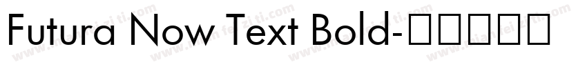 Futura Now Text Bold字体转换